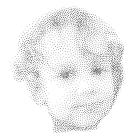 Guney Digital Art - TSP Path Algorithm 
