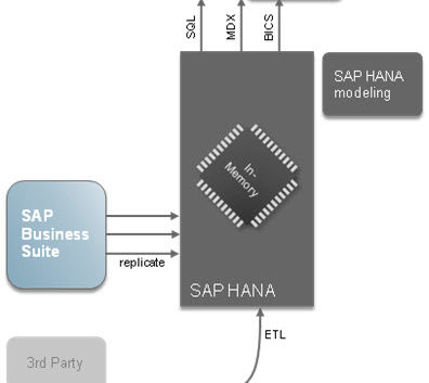 SAP Hana: Details of High Performance Analytical Appliance