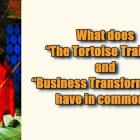 What does “The Tortoise Trainer” and “Business Transformation” have in common?