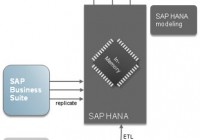 SAP Hana: Details of High Performance Analytical Appliance