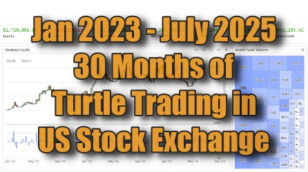 What if Test: 30 Mounths of Turtle Trade Test