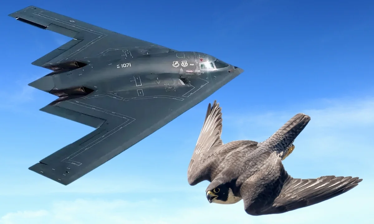 How Innovation Changes Even The Fighter Design?