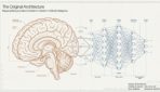 The Brain vs the AI Architecture The Brain vs the AI Architecture